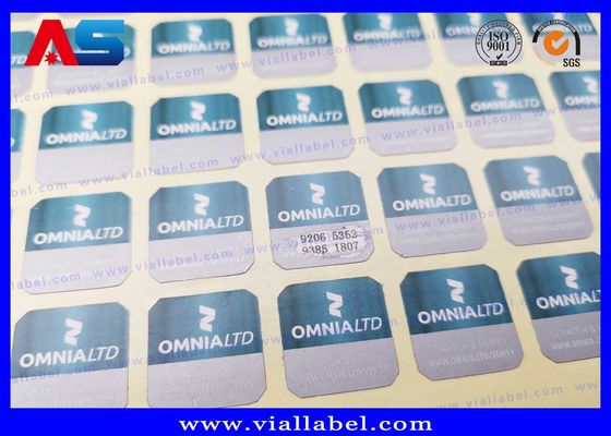 Diseño Personalizado Pegatina de Seguridad Antifalsificación Holograma vacío pegatina holográfica 3D